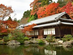 湖東三山の最後に訪れたのは百済寺である。606年に聖徳太子が建立したと伝わる。

ここの庭園も紅葉が美しい。