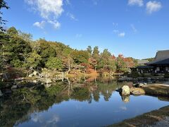 本堂前の庭園、鏡のような池