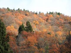 山の紅葉を見ながら十二峠へ向かいます