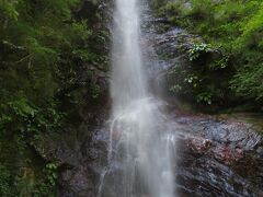 安居渓谷の背龍の滝。