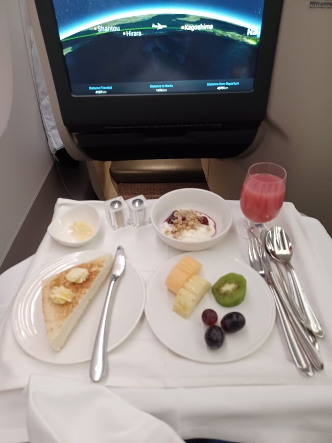 マレーシア航空　ファストクラス専用　フルーツ用ナイフ　ホーク マレーシア航空 ファストクラス専用 フルーツ用ナイフ ホーク