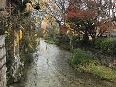 京都の川って綺麗に保たれていると、何時も思います。