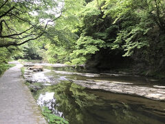 新緑が素敵な遊歩道を歩きながら、気持ちよく森林浴ができました。
この次は是非紅葉の時期に訪れたいです。