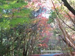 【小岱山紅葉ロード】

慰霊塔入口の先あたりから、美しい紅葉が見られます。
山の中の道路で運転は注意が必要ですが、所々離合する場所もあります。