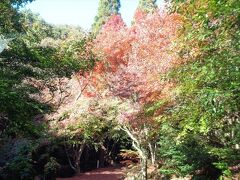 小岱山観音寺入口