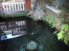小国町市街地近くの鏡ヶ池。湧水の小さな池。