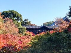 ホテルをチェックアウトしてJRで京都駅から東福寺駅へと移動しました。
東福寺の臥雲橋からもみじの渓谷・洗玉澗（せんぎょくかん）越しに見える通天橋です。