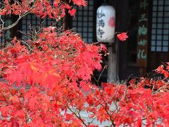 これから岩倉地区にある2寺を巡ります。
国際会館からバスで幡枝下車徒歩5分、妙満寺にやってきました。
（総本山　妙満寺）