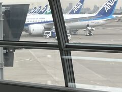久しぶりの二人揃っての羽田空港です。安心の翼ANA機が並んでる！