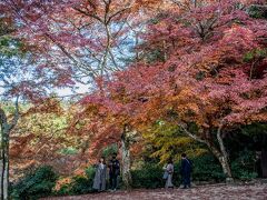 紅葉谷公園