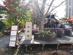 まずは三島駅徒歩1分 楽寿園に
紅葉も見頃ということで大変ラッキー
入園料は300円と格安なのもいいですね