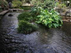 蓮沼川と平行して流れる源兵衛川
