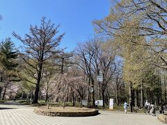円山公園に到着。
