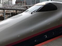 初っぱなから、なんと新幹線の時間を間違えてしまうとは。
席を予約していた「とき307号」には乗れず、約50分遅く出発する「とき311号」の自由席で新潟に向かいます。
しかし、想定外だったのは、この「とき311号」というのは、すごく速い新幹線で、東京駅を出発したあと、途中止まるのは大宮駅のみ。その次はもう、終点の新潟駅です！
なので、ちゃんと予定通りに出発した夫と25分くらいの差で、新潟駅に着く計算です。