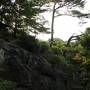 夏の伊豆長岡温泉旅♪　Vol.42 ☆伊豆長岡温泉「三養荘」：朝の美しい日本庭園　優雅な散歩♪