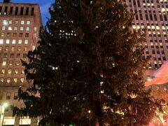 点灯前のクリスマスツリー。
想像以上に立派な木で、迫力がありました。
いつかライトアップしているツリーも見に来たいです。