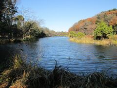 じゅん菜池　じゅん菜池を中心に遊歩道があり、春は梅、初夏はつつじ、秋は紅葉、冬は鴨等自然が楽しめる緑地公園です