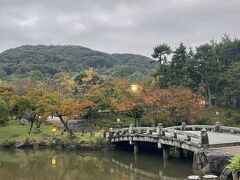 食後は円山公園をぶらぶら。