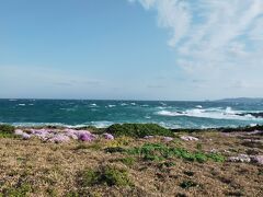 こちらは角島の牧崎風の公園。