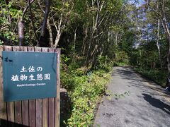 牧野植物園に到着。
アプローチは「土佐の植物生態園」。
滝や池といった自然を再現しています。