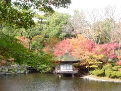 その二の丸庭園の隣、城郭の北西にある、西の丸紅葉渓庭園
紅葉が実に綺麗な庭園だ。