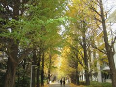 西口に向かってイチョウ並木を歩きました。黄色く色づいた落ち葉が冬の到来を告げていました。学生だけでなく一般の人も自由に入れることもあり、地元の人たちが愛犬を連れて散歩している姿が多く見られました。