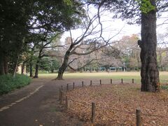 駒場公園