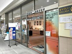 常滑駅の改札を出て、まっすぐ進むと『常滑市観光プラザ』を見つけることができます。