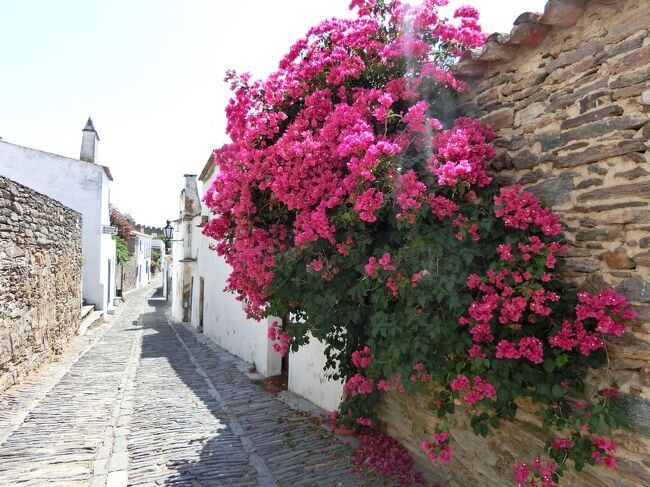 お花も映えます。