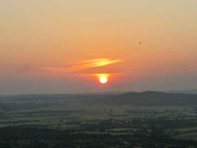音が聞こえそうです。