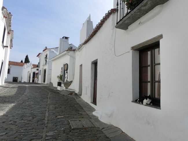 白い村に猫、、。<br />ギリシャもそうだった記憶があります。