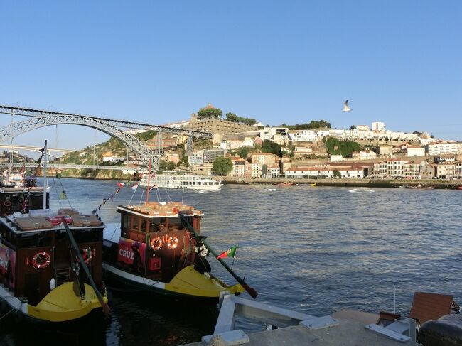 夕食をとります。夏なのでまだ明るいです。