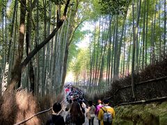 竹林の小径も人手が最高～(笑)ﾌﾌ
