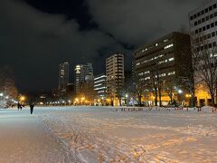 大通公園7丁目は何も無かったけど、もう地面は見えないくらい積もってた＼(^o^)／