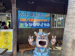 お迎えのバスに乗ってまたすぐに水牛車観光の場所に到着。
2チームに分かれて乗り込みます。
最初はレキオくんが、2番目の私たちが乗るのは