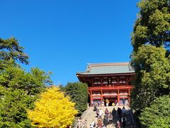 最後は鶴岡八幡宮
この階段で実朝は殺されたのだ・・・と眺めて早々に退散。
駅までの道は修学旅行生　外国からの観光客も多くて賑わっていました。