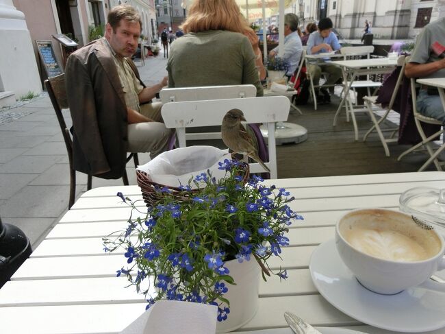 鳥、まだ居ます（カゴの上）