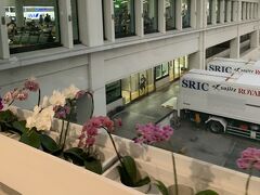 この蘭の花を見ると那覇空港に来たんだなーっと思います。
