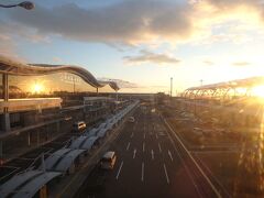 「あん肝」目当てに行動開始。早朝の仙台空港に鉄道の空港アクセス線で到着する。

朝日が眩しいよ。