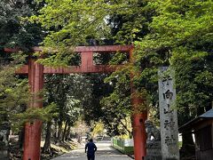 ほどなく手向山八幡宮の一の鳥居。
この神社を詠んだ菅原道真の和歌、
『このたびは　幣もとりあえず　手向山　もみじのにしき　神のまにまに』
は百人一首に取られている。紅葉の名所なんだな。
この道の先を左方向に進むと、お水取りの二月堂だ。