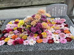 花手水のお花はあまり変わっていないけれど、ウサギさんはいなくなっていました。やっぱり初日に、頑張って行って良かったです！