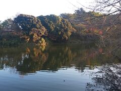 またある週末はちょっとだけ近くの公園に紅葉を見に行ったり…
これしか写真撮ってなかった。