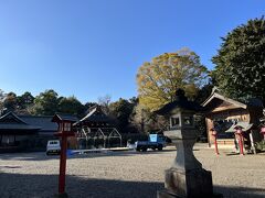 満腹になった後は、腹ごなしに久喜市にある鷲宮神社に行きました。