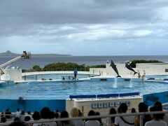 ぽつりと雨を感じる事もあったけどイルカショーがやるというので見に行きました！
オキちゃんがめっちゃ40代後半だったかな?
高齢でびっくりしました。働き者ですねえ