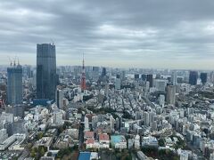 六本木ヒルズの展望台観光が含まれている。ここ初めてなので来れてよかった。東京タワーはやはり上るより外から見たほうがいい。