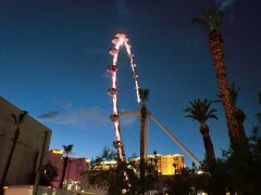 夜景は高いところから見るに限る、ということで観覧車・ハイローラーに乗ります。
