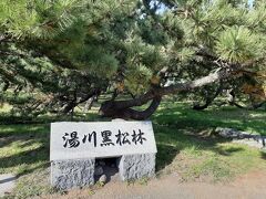 　海岸のほうに歩いていくと、「湯の浜公園」松林があります。