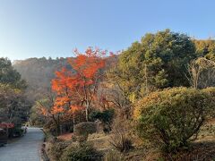 竹林を往復でもよかったのですが、
せっかくなので嵐山公園を抜けて掛川にお散歩してみます。