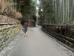 嵐山　竹林の小径

地元の方がワンちゃんのお散歩してる。
贅沢ですなー。