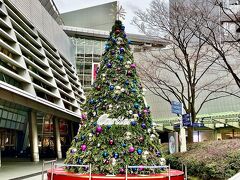 そして、今年も？カルティエのツリー♪